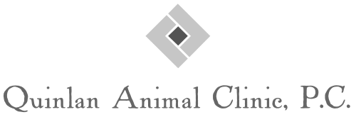 Quinlan Animal Clinic, P.C.